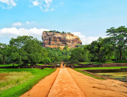Two weeks in Sri Lanka: a dream trip. Part 3: From Kandy to Sigiriya