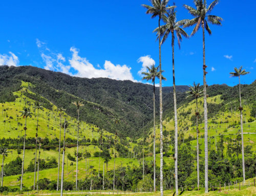 Colombia: Salento and Cocora Valley