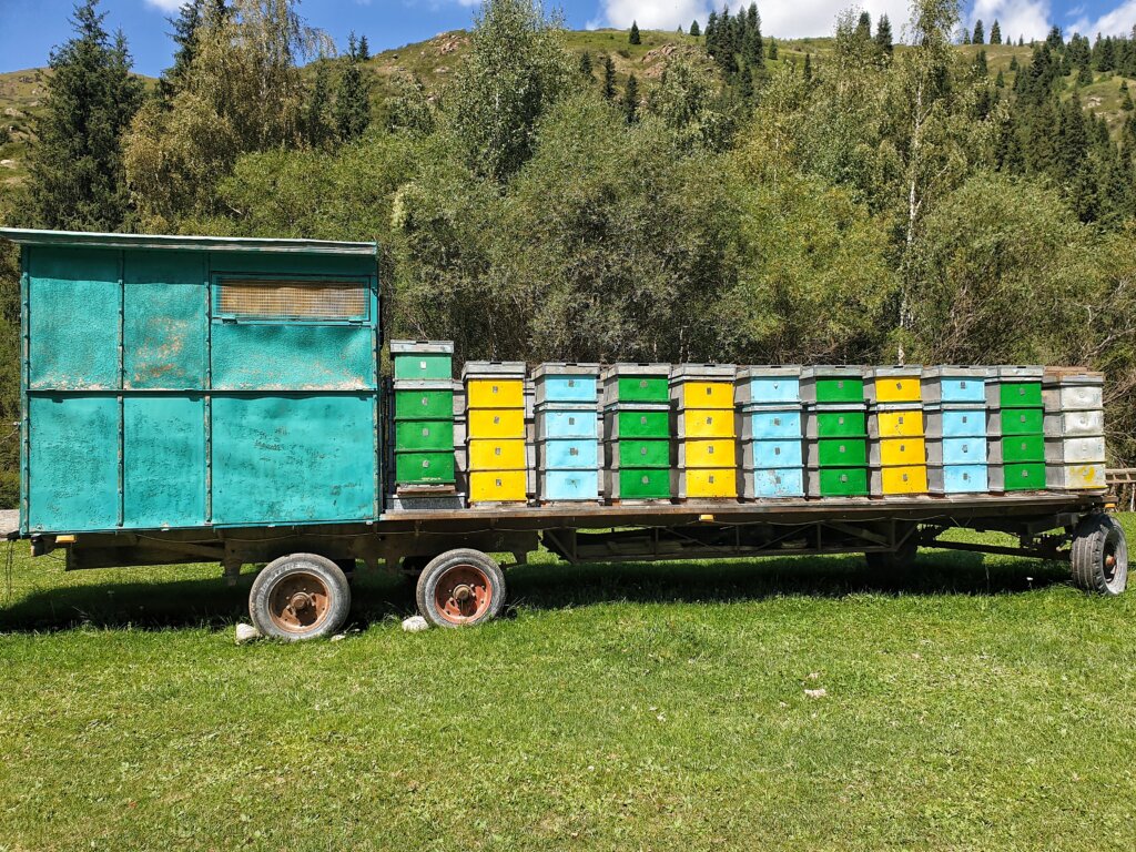 Hives on the wheels