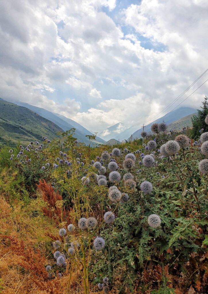 Ala-Archa National Park