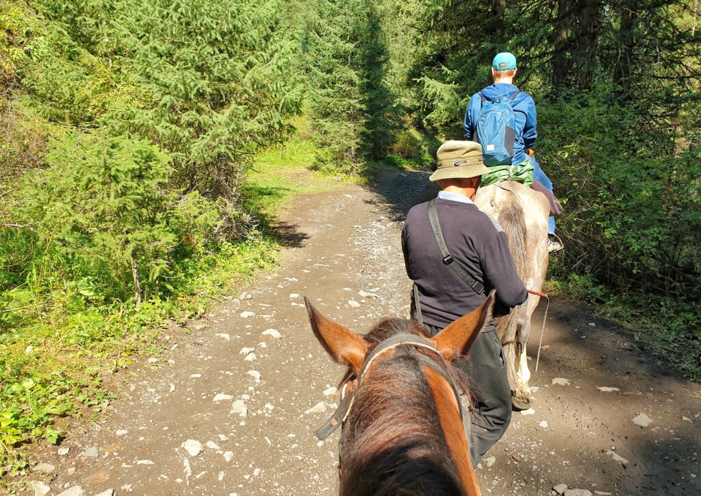 Horseback riding