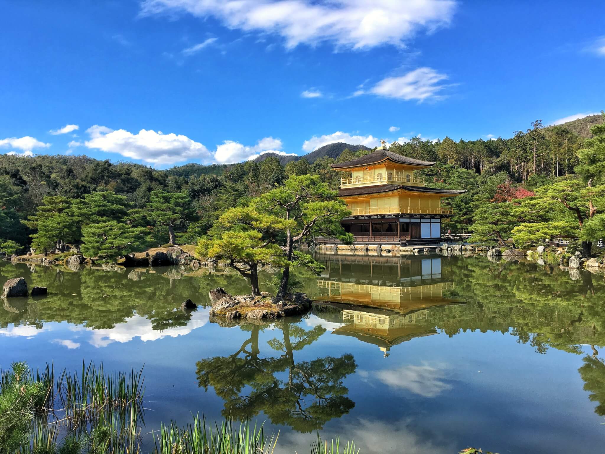 24 hours to explore Kyoto